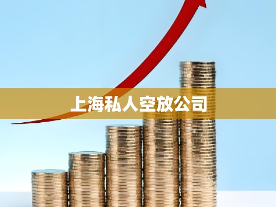 上海私人空放公司