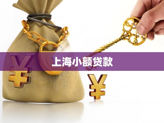 上海小额贷款