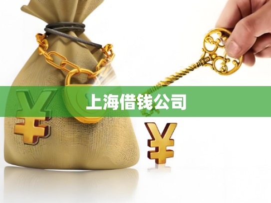 上海借钱公司