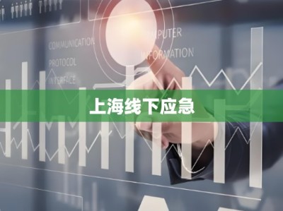 上海线下应急